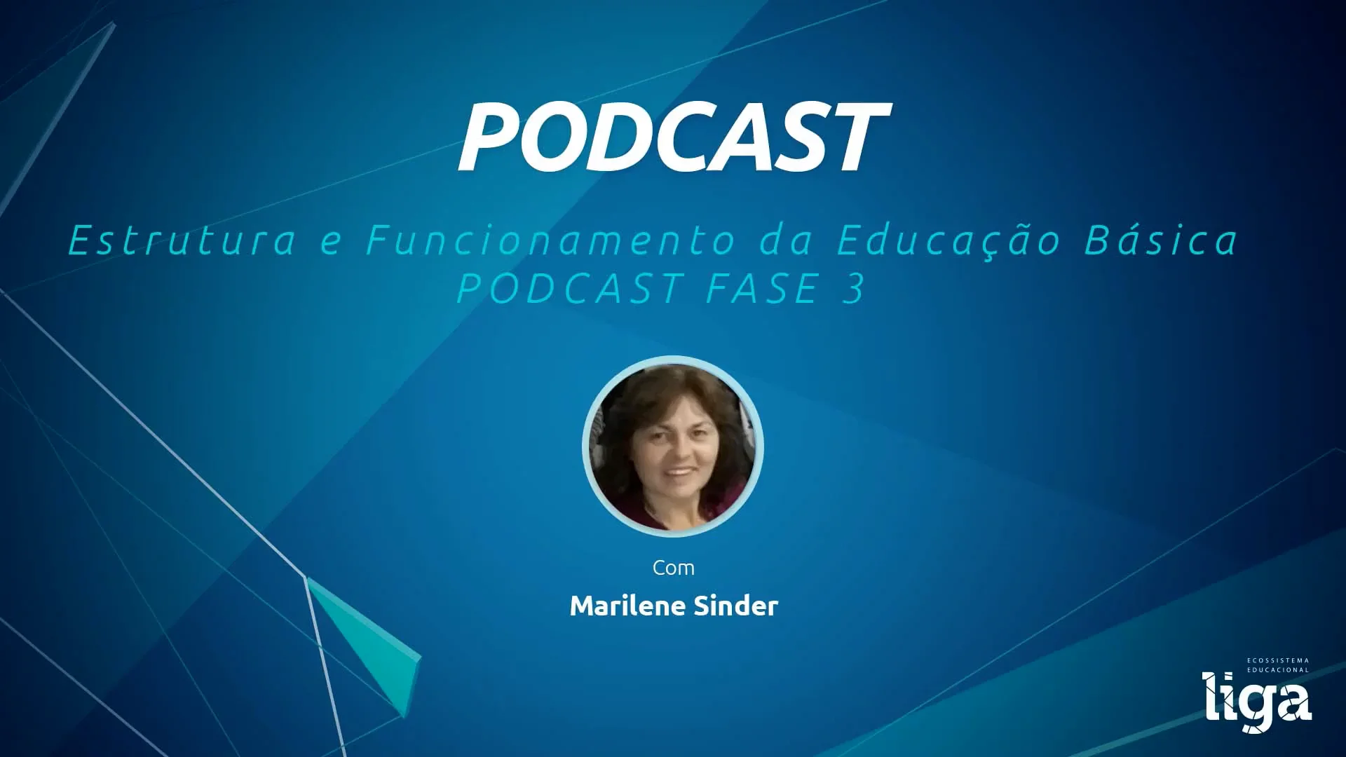 podcast_-_pedagogia_-_estrutura_e_funcionamento_da_educa_C3_A7_C3_A3o ...