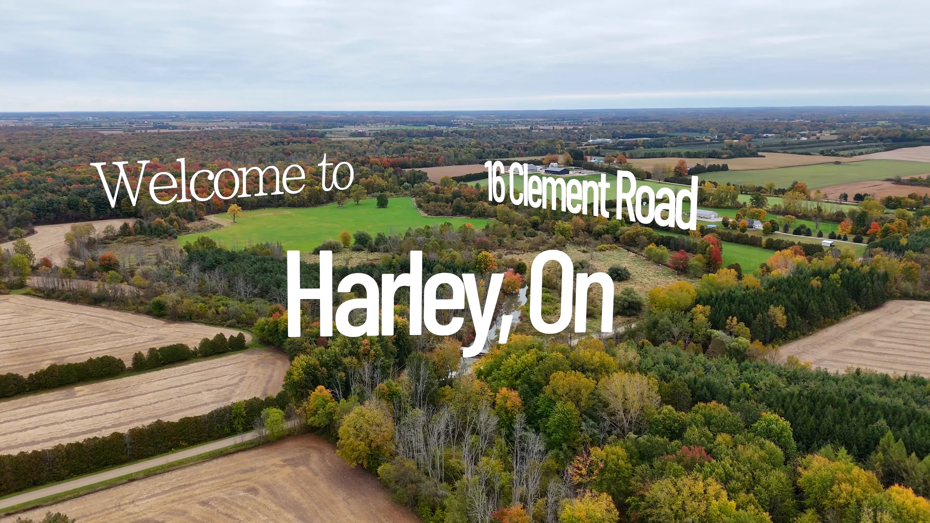 16 Clement Road on Vimeo