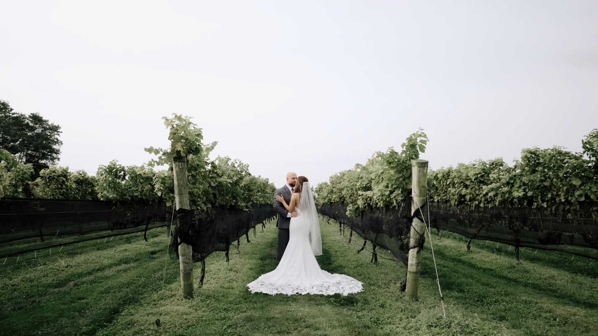 Vineyards - Amanda + Andrew