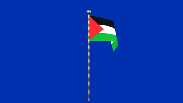 480+ Bandera Palestina Vídeos de stock y películas libres de