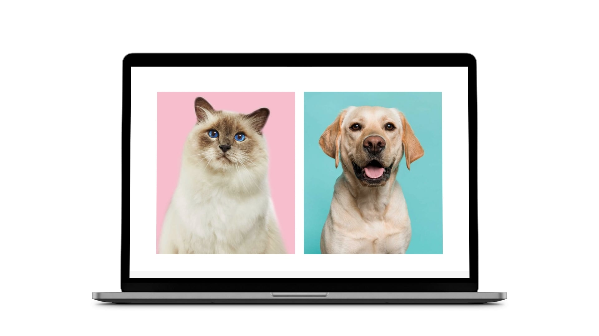 1739987383 e88a7c6e1ab454f14fe520c93fb14f00b159beffa5780b84faaa3014f5c56ff7 d?region=us