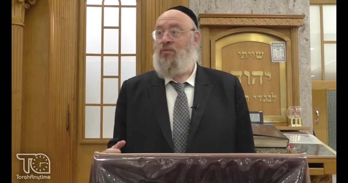R' Shraga Feivel Zimmerman Hearing Aids in Halacha (Part 1)