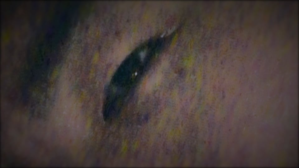 Close your eyes, eyes, eyes