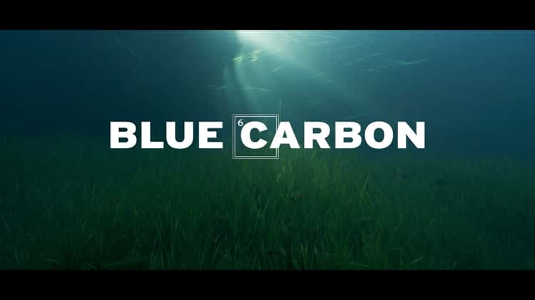 Blue Carbon - Official Trailer 2023 on Vimeo
