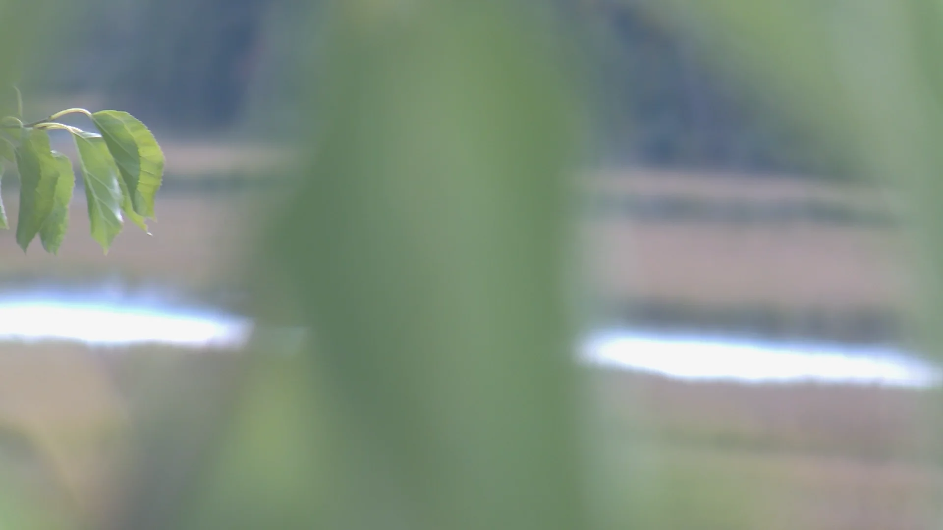 BPS Osprey Cam on Vimeo