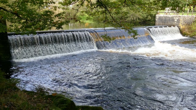 Lake, River, Stream. Free Stock Video - Pixabay