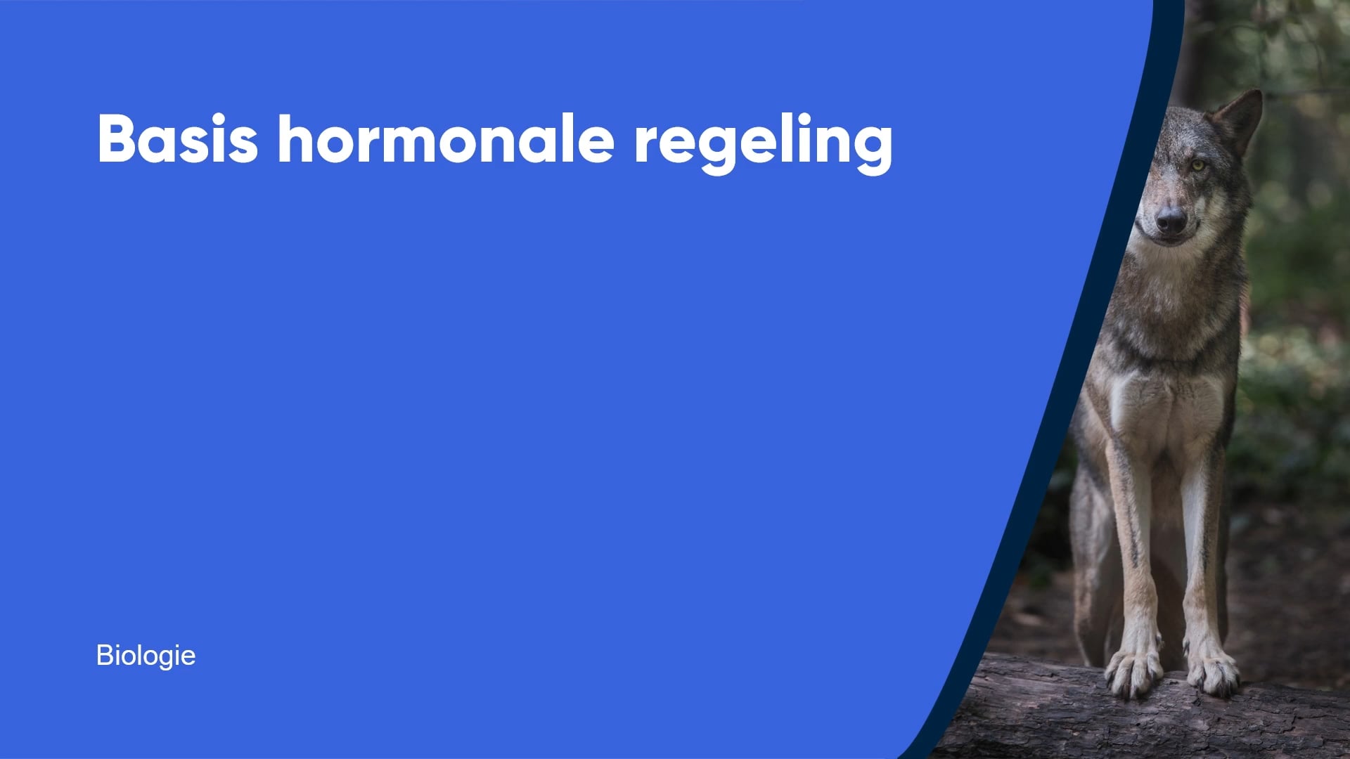 Basis hormonale regeling