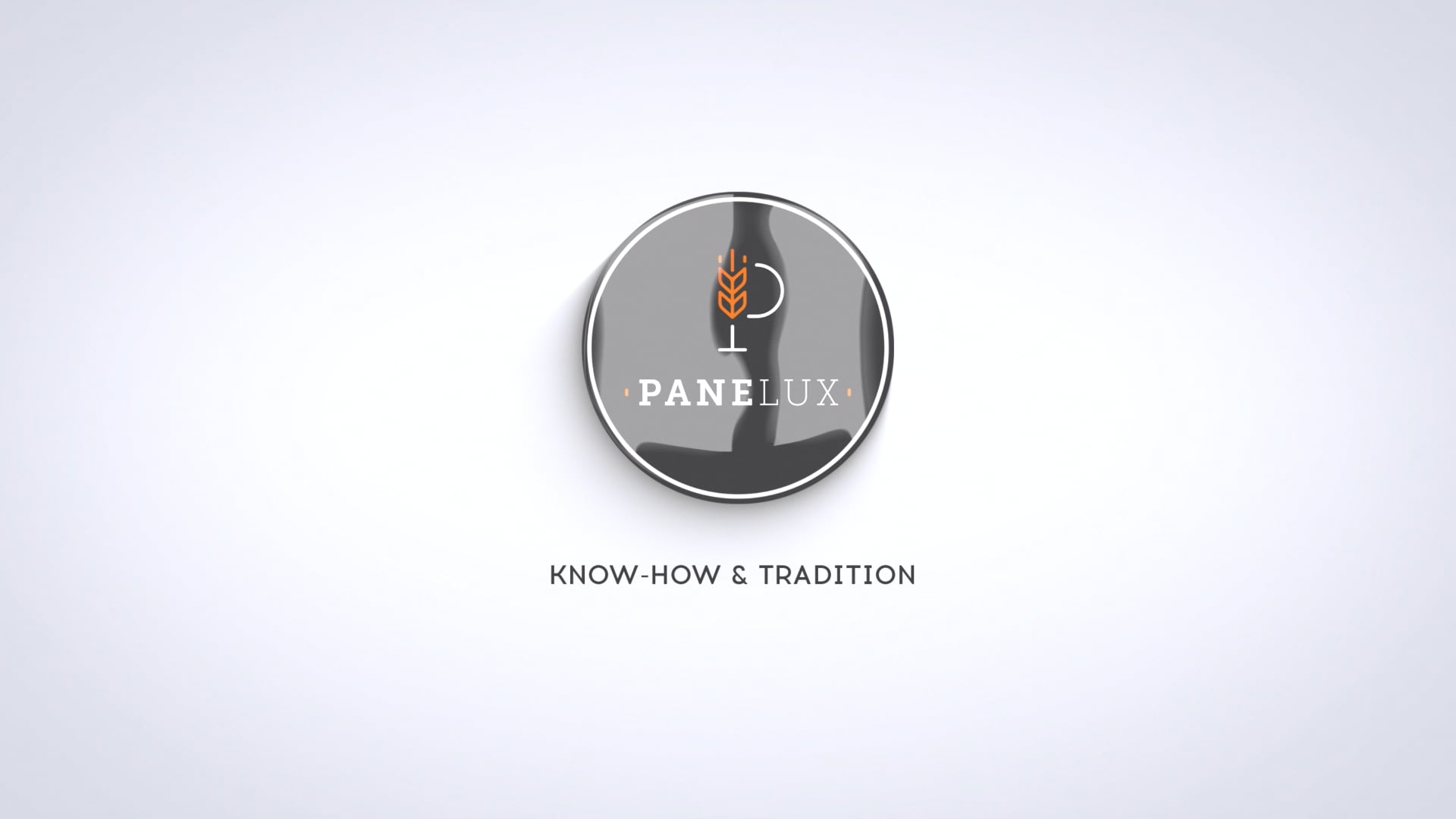 Panelux SA - International