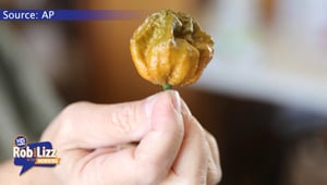 This Pepper is Hotter than Ghost Peppers