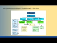 Lab Technician: Module 02 Part 07