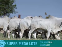 Super Mega Lote 143