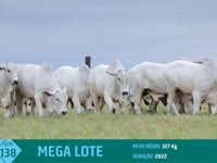 Mega Lote 138