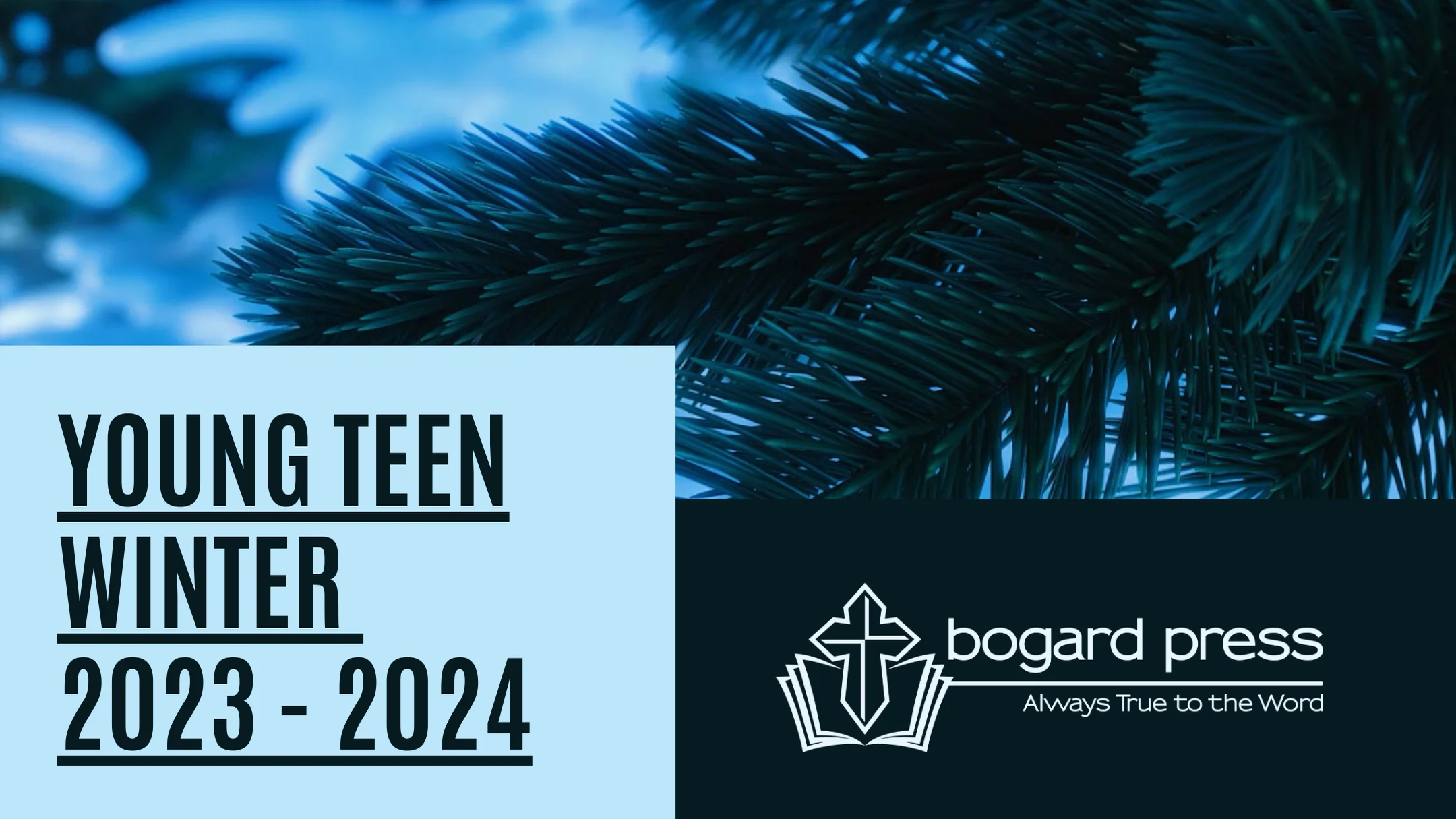 Young Teen