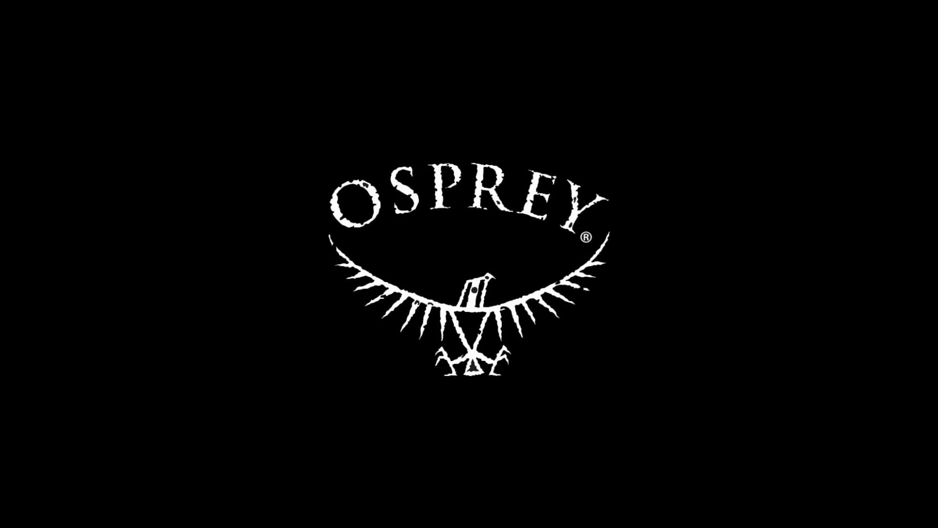 Osprey torso sizing hotsell