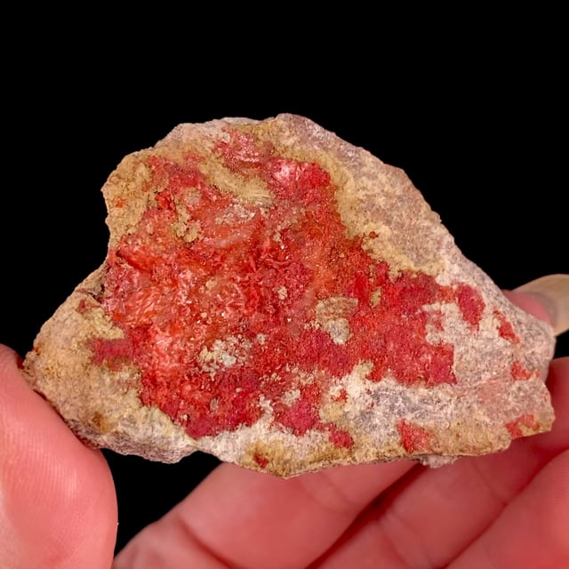 Cuprite var: Chalcotrichite (rare locality specimen) | New Cornelia ...