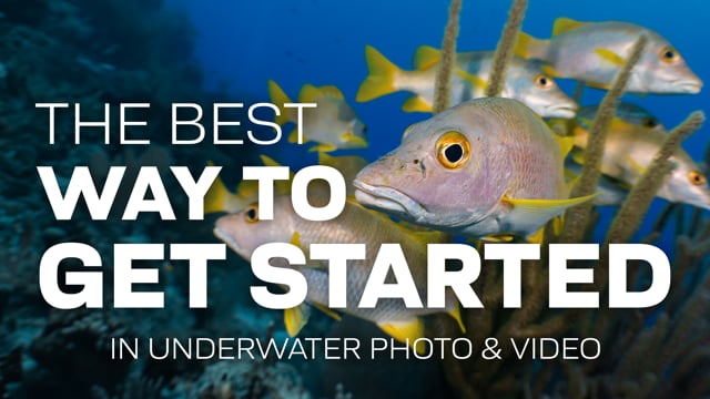 What Is The Best Way To Get Started