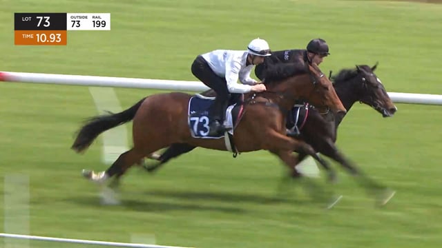 Lot 73