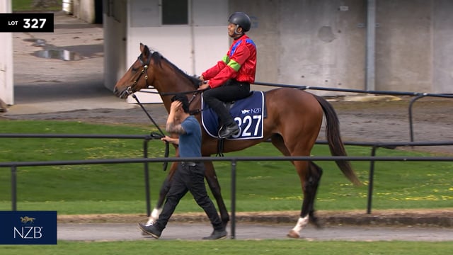 Lot 327
