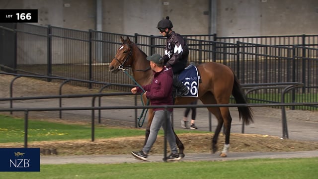 Lot 166