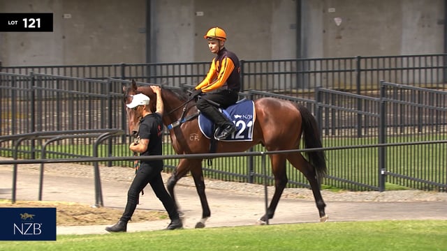 Lot 121