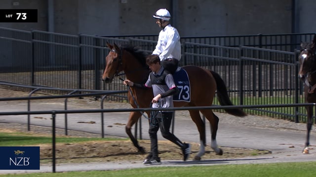 Lot 73