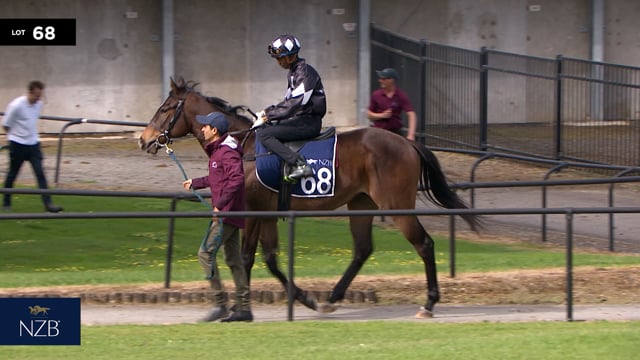 Lot 68
