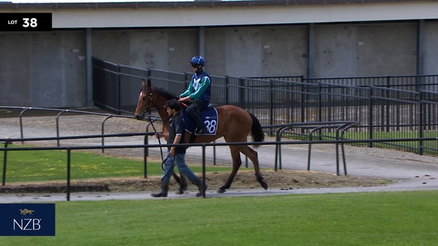 Lot 38