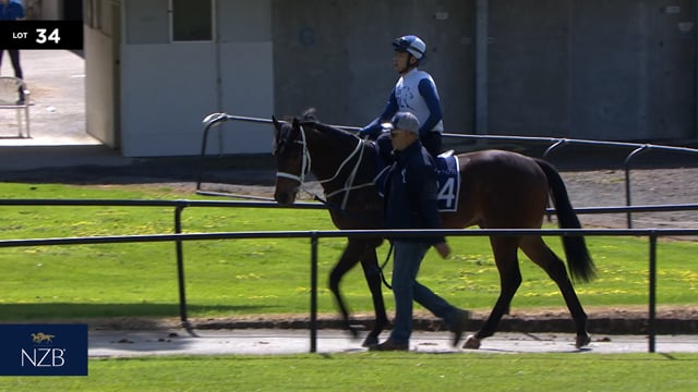 Lot 34