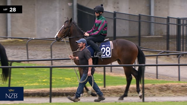 Lot 28