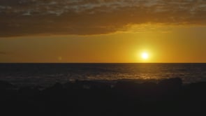 social header
