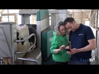 Priorizar el bienestar de las vacas, pero también el de los ganaderos