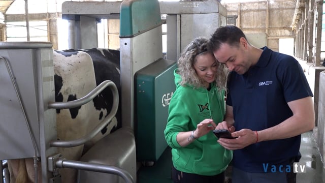 Priorizar el bienestar de las vacas, pero también el de los ganaderos