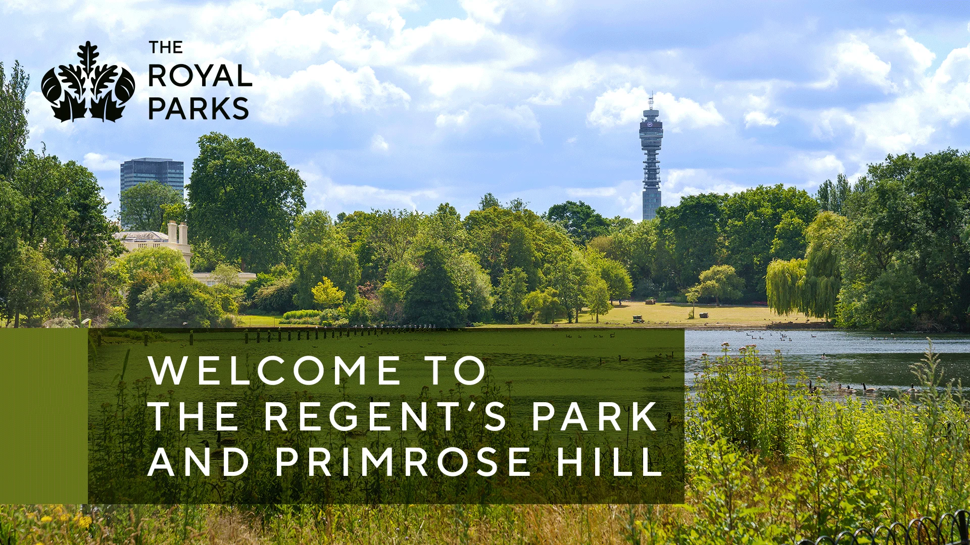 Regent's Park