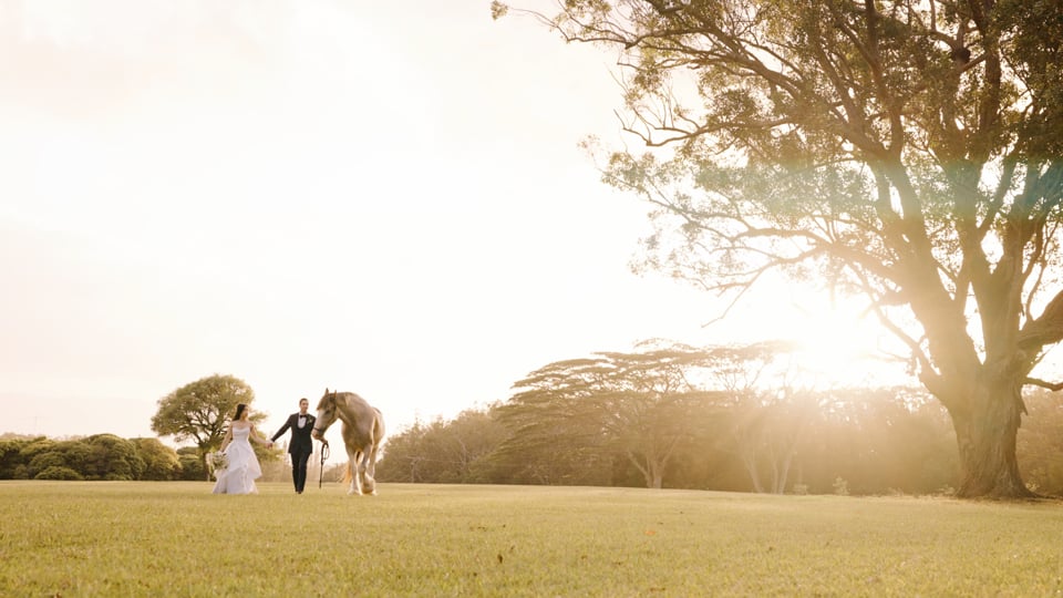 The Beautiful Wedding of David & Amanda at Sunset Ranch — A Cinematic Love Story in Pupukea, Hawaii