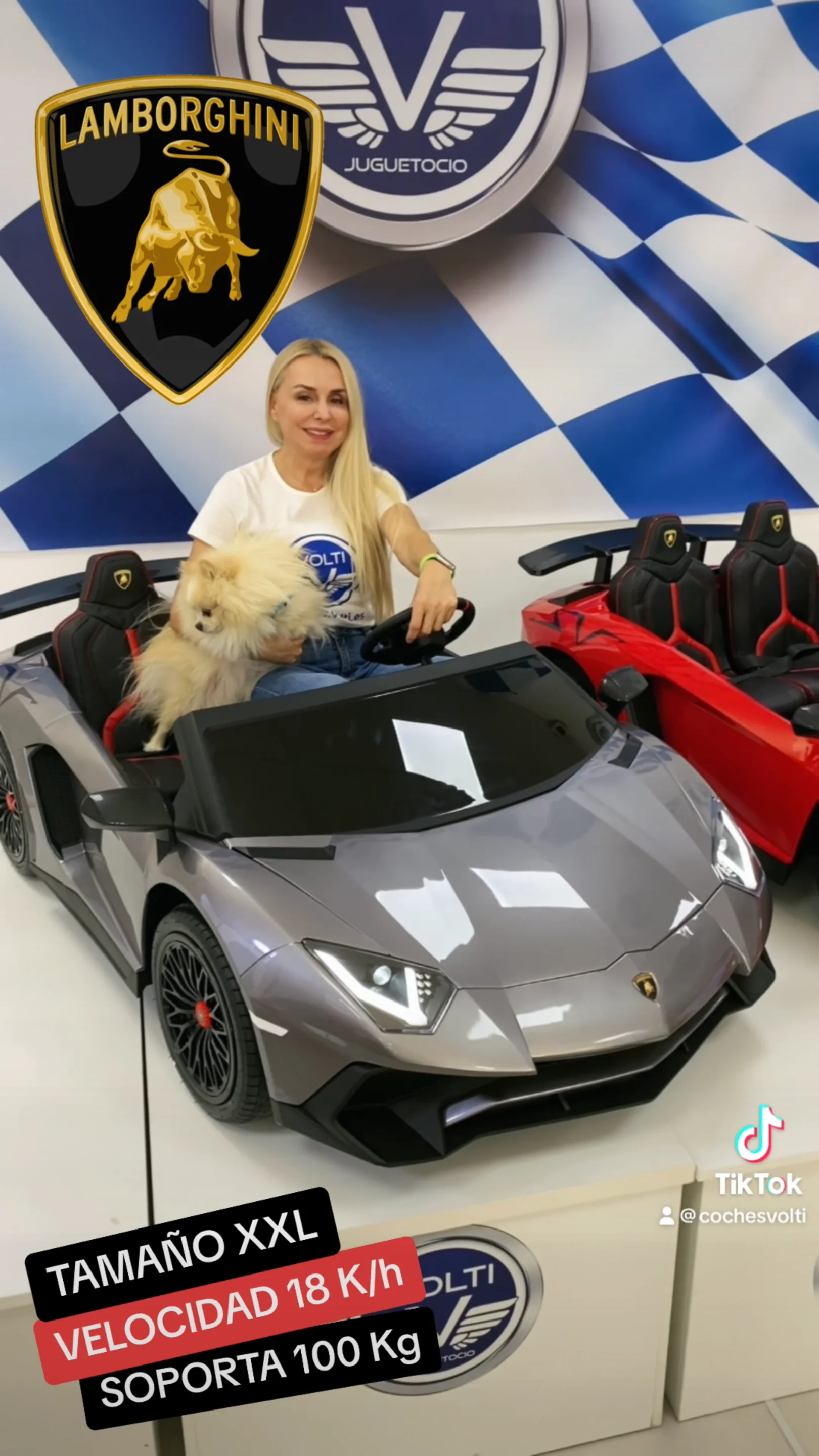 COCHES GRANDES PARA NIÑOS DE MÁS DE AÑOS VOLTI