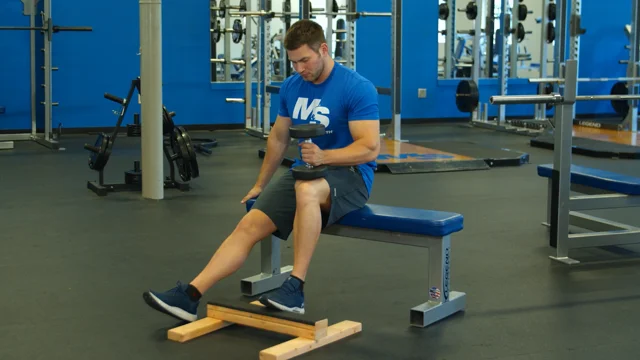 Dumbbell Seated Single-Leg Calf Raise