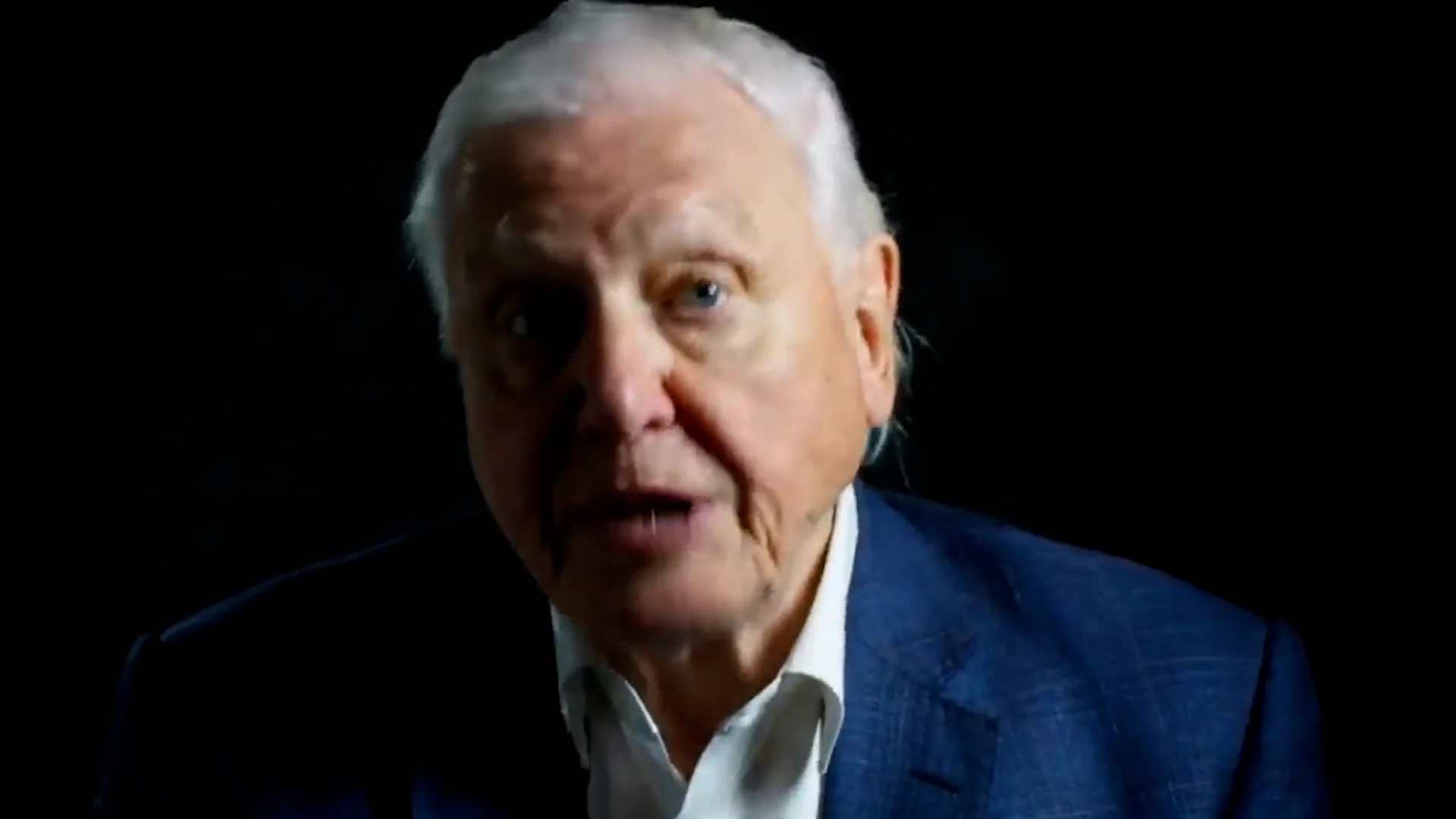 David on Vimeo