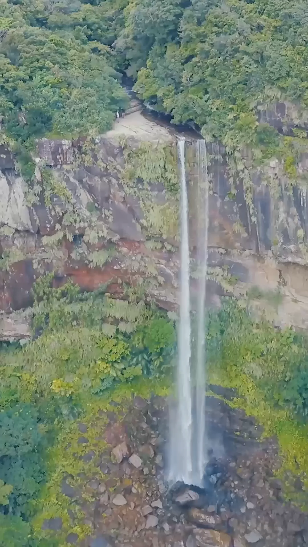 西表島時間 | 沖縄 八重山 島時間