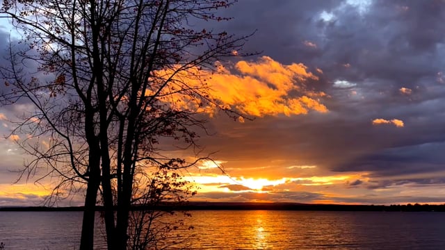 Arbre Le Coucher Du Soleil Lac Des - Free video on Pixabay - Pixabay