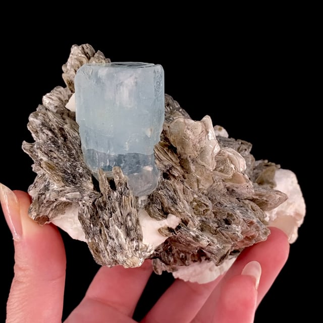 Beryl var: Aquamarine with Muscovite and Albite