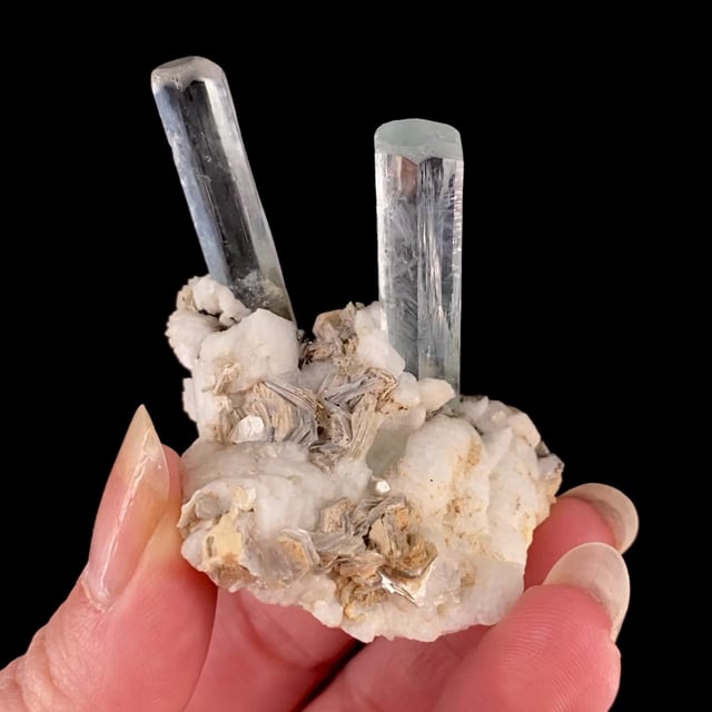 Beryl var: Aquamarine on Albite with Muscovite