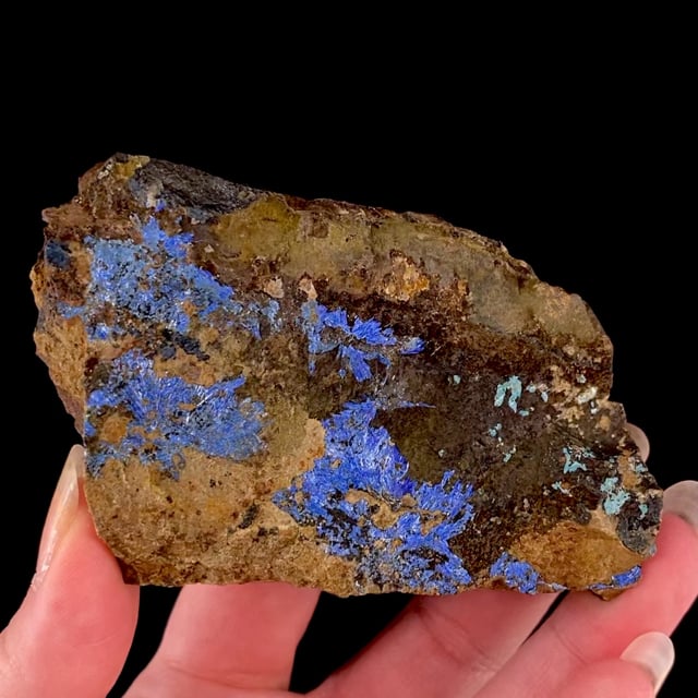 Linarite (rare) | Darwin District, Darwin Hills, Inyo Co., California, USA
