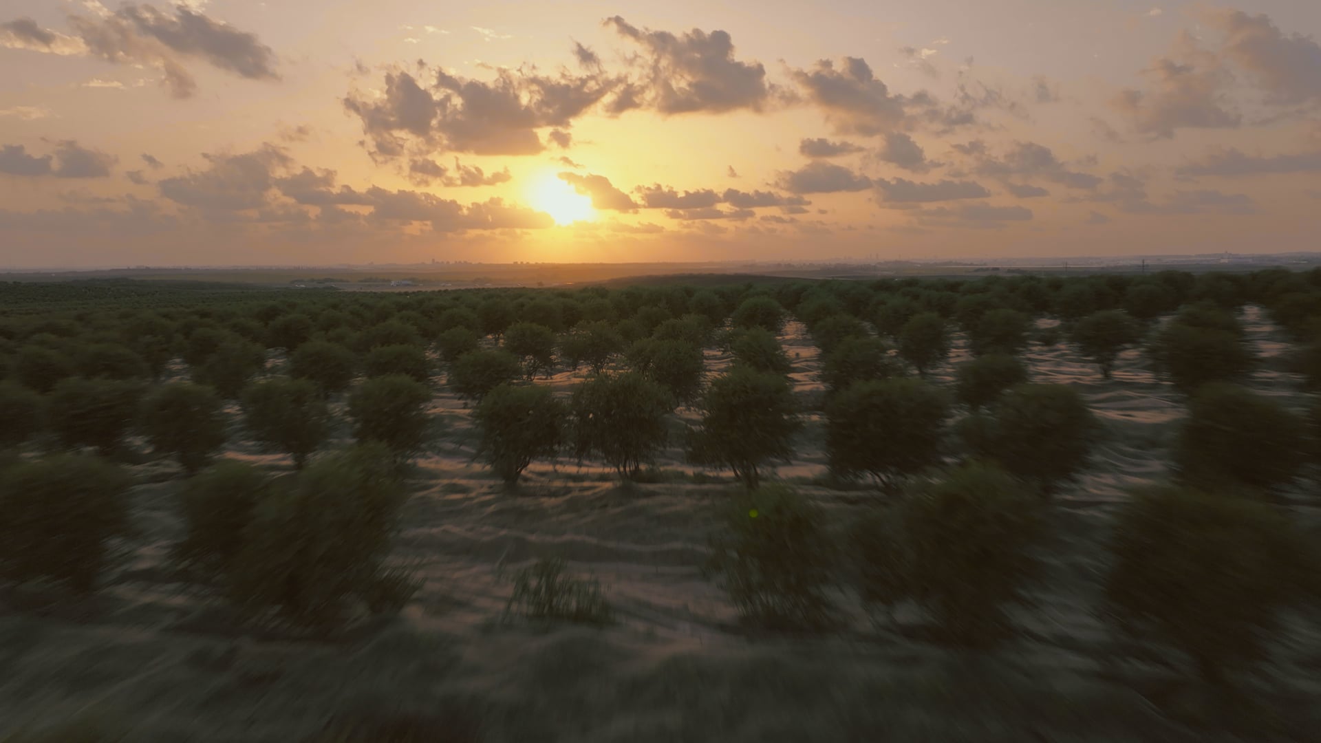 Episode 1 | We Are Jojoba Valley