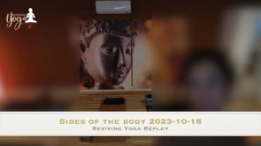 Sides of the body 2023-10-18