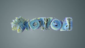 Motion Graphics