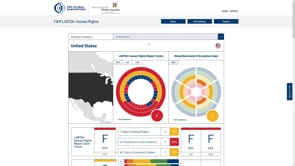 Preview for Using the F&M Global Barometers LGBTQI+ Perception Index (Tutorial)