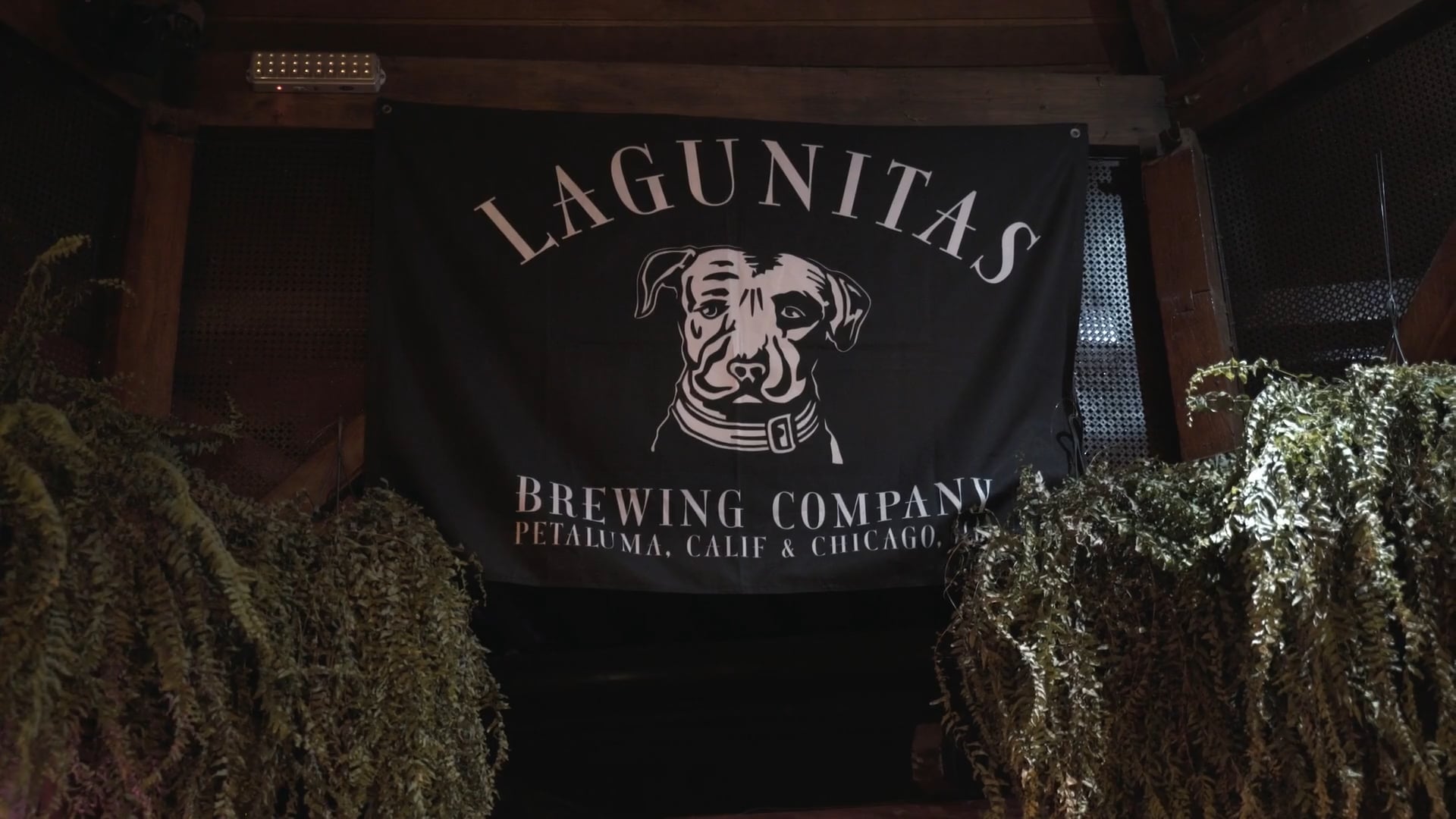 Sofar + Lagunitas