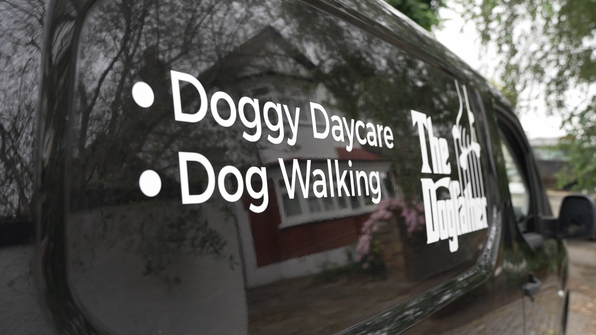 The Dogfather - Dog Walking and Boarding