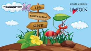 01 Dragonflies - The Travelling Ant
