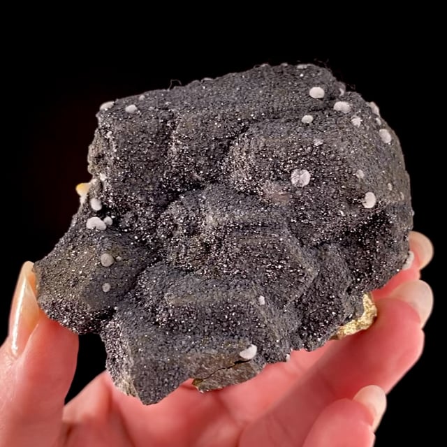 Enargite on Pyrite with Wavellite (RARE association for the locality!)